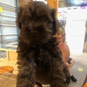 Meet your Posher, Janiya